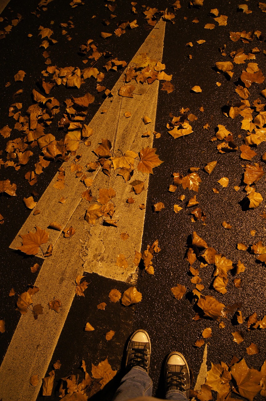 arrow, shoe, autumn, road, night, leaf, nature, towards